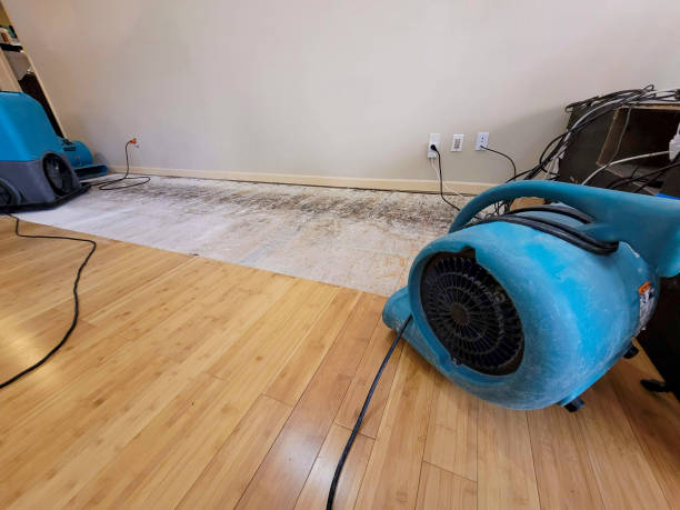 Professional Emergency Water Damage technician working in Fall Branch, TN